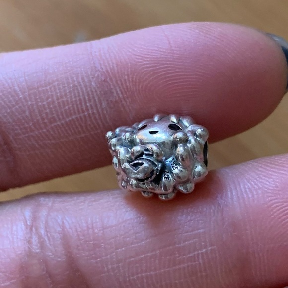 Retired Pandora x Harry Potter, Hermione Granger Charm Jewelry - Picture 7 of 8